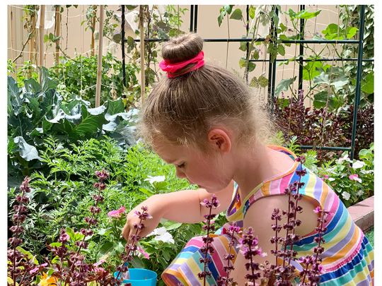 Four-and-half-year-old child grows her food in Dubai