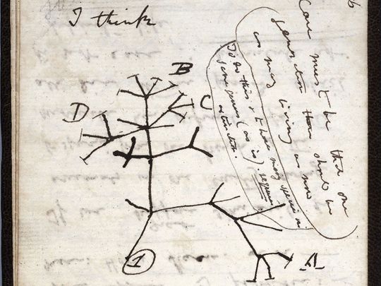 Charles Darwin notebooks ‘stolen’ from Cambridge University