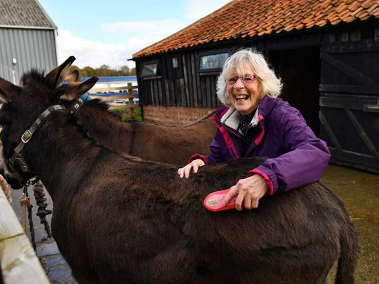 UK care farms a lifeline during COVID-19 pandemic