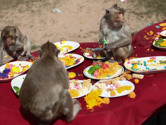 Photos: Inside Thailand’s unique Monkey Buffet Festival