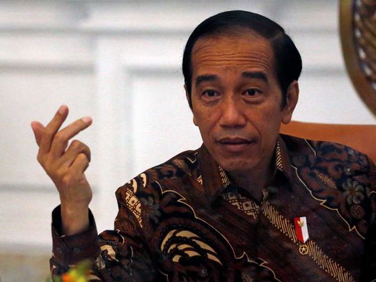 Indonesia to start mass COVID-19 vaccination this year: President