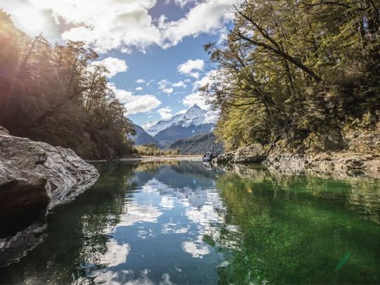 New Zealand vows crackdown on defecating backpackers