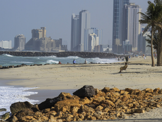 Two Asians rescued from drowning in Sharjah