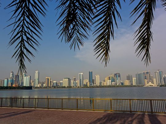 COVID-19: Sharjah panel, WHO officials discuss schooling and health issues in pandemic era