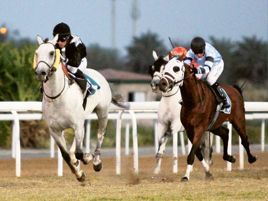 Colts and Fillies’ Classics to light up Abu Dhabi