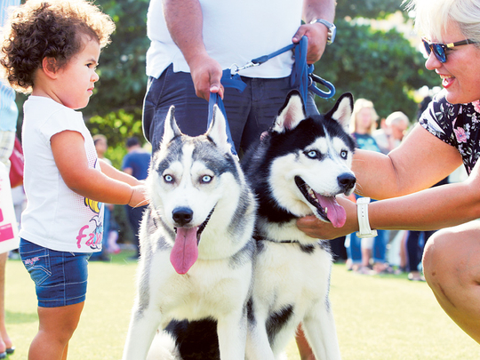 Furry Friday beckons on December 18 as Dubai Pet Festival is back