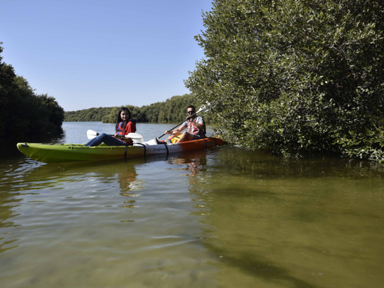 Watch: #World’s Coolest Winter: Immerse in the sights and sounds of Sharjah, Ajman and UAQ