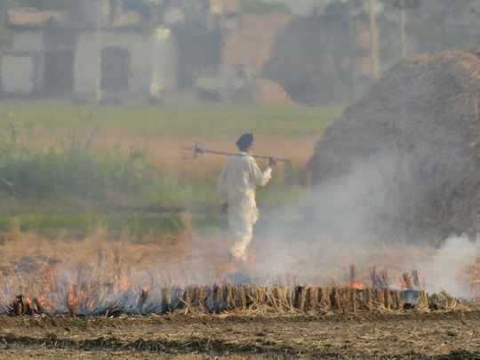 Bihar blacklists 900 farmers over burning stubble leading to air pollution