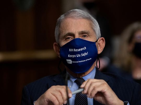 US: Fauci sorry for casting doubt on UK vaccine approval