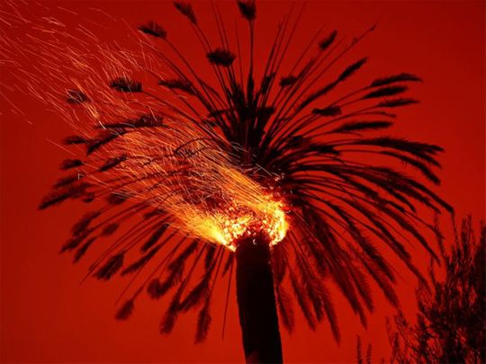 2020 in review: Nature’s scary beautiful wonders