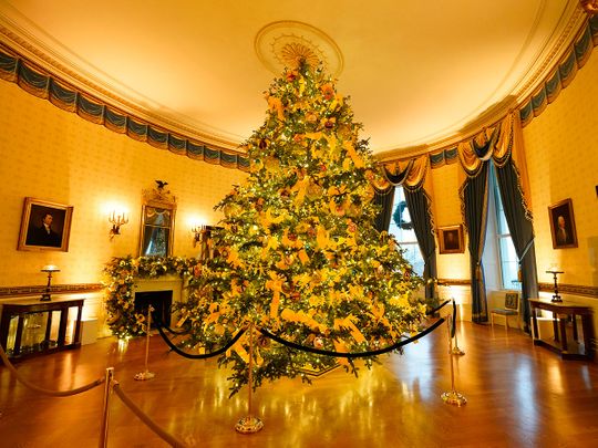 In pictures: 2020 White House Christmas decorations