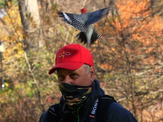 Birding is socially distanced New York’s hottest hobby