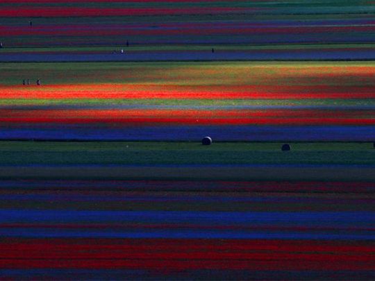 2020 in review: The finest landscape photography of the year