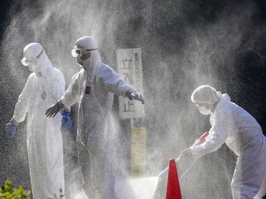 Bird flu spreads to 10th Japanese prefecture
