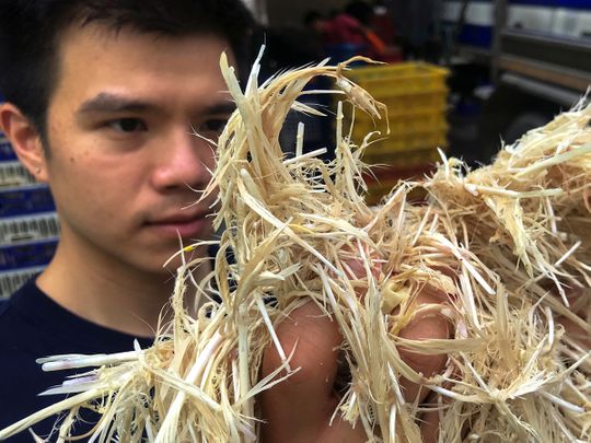 Thai researcher turns chicken feathers into gourmet food