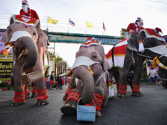 Photos: Elephant Santas deliver face masks in Thailand