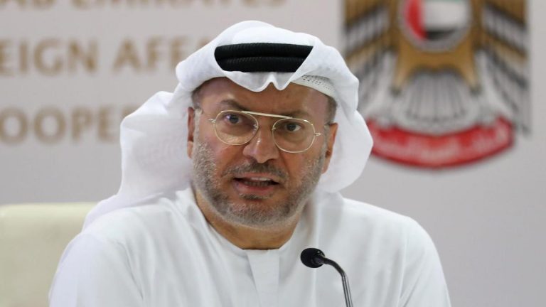 Gargash says GCC relation with Egypt integral for regional peace