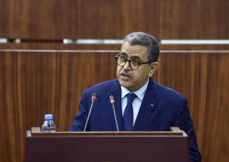’Foreign maneuvers’ in West Sahara destablizing Algeria: PM