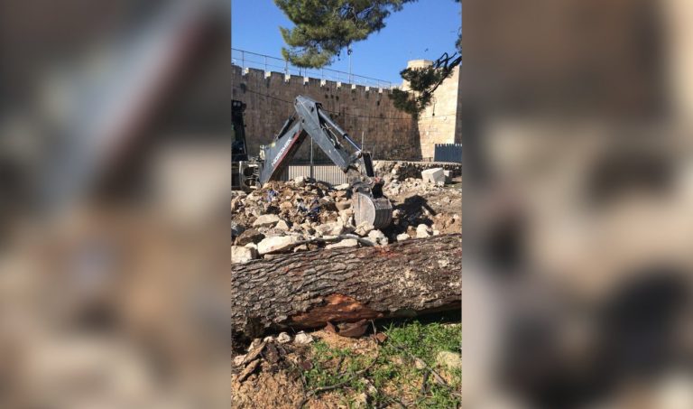 Israeli court halts desecration of Muslim cemetery