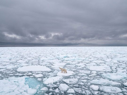 Arctic endured one of its hottest years in 2020: study