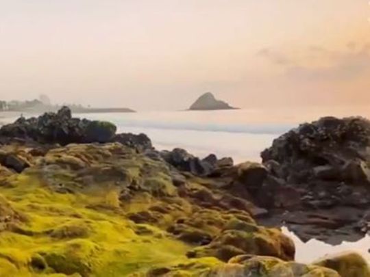 Sheikh Mohammed Bin Rashid posts video showcasing beauty of UAE