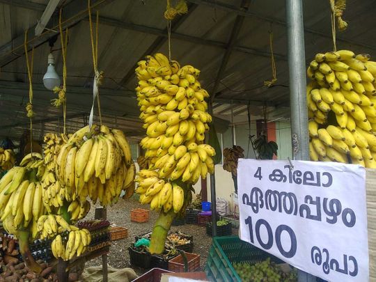 India: Banana farmers in Kerala battle low retail prices