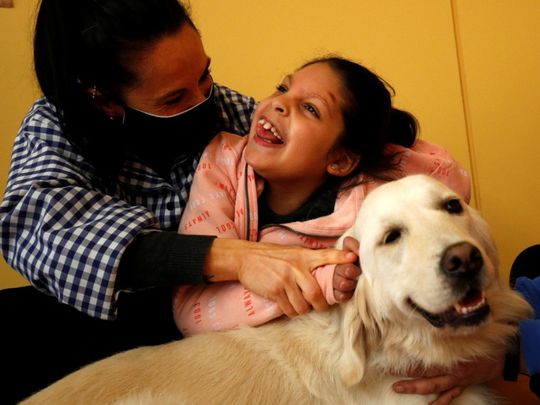 Wagging tails: Therapy dog cheers Spanish special-needs kids during COVID-19