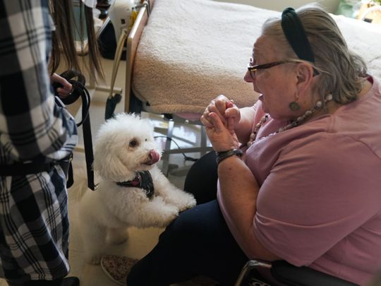 Dogs ease COVID-19 isolation for a New York nursing home residents