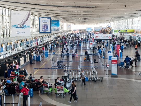Sit, stay, detect COVID! Chile dogs report for duty at Santiago airport