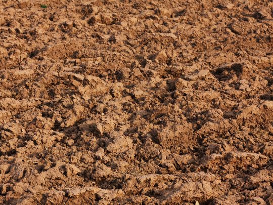 India: Ancient coins found in expressway digging in UP