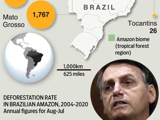 Deforestation in Brazil’s Amazon rainforest surges to 12-year high