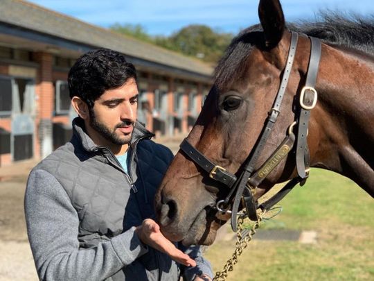 In photos: All the times Sheikh Hamdan showed us his animal friends