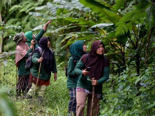 Look: Indonesia’s female forest guardians fight for the environment
