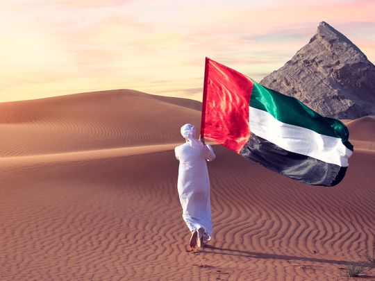 UAE National Day 2020: UAE leadership, community praised for setting examples for all to follow
