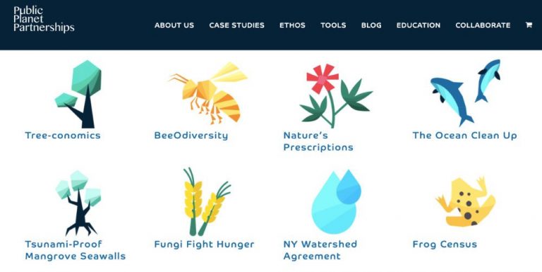 Bahraini non-profit brings mother nature to the boardroom