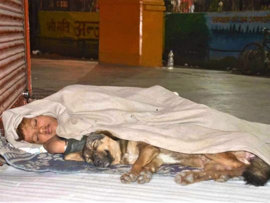 Photo of homeless boy sleeping with dog to keep warm in Uttar Pradesh goes viral