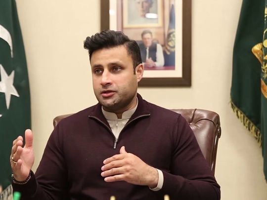 Zulfikar Bukhari vows to improve Pakistan’s ties with UAE and KSA