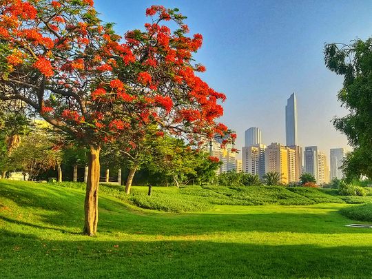 UAE weather: Mostly sunny in Abu Dhabi, Dubai, and Sharjah