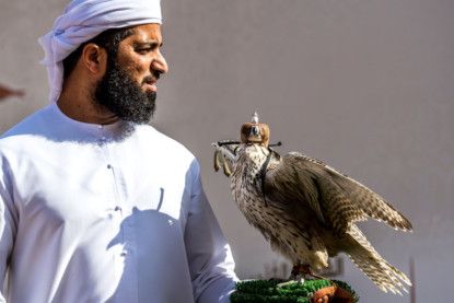 UAE National Day 2020: Celebrations continue to fly at 4th Sharjah Falconers Club Championship