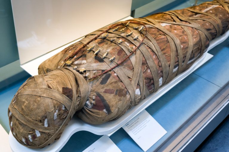 New archeological finds made in Egypt