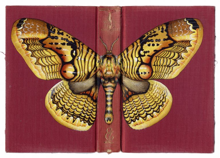 Oversized Butterflies, Moths, and Beetles Cloak Vintage Books in Paintings by Rose Sanderson