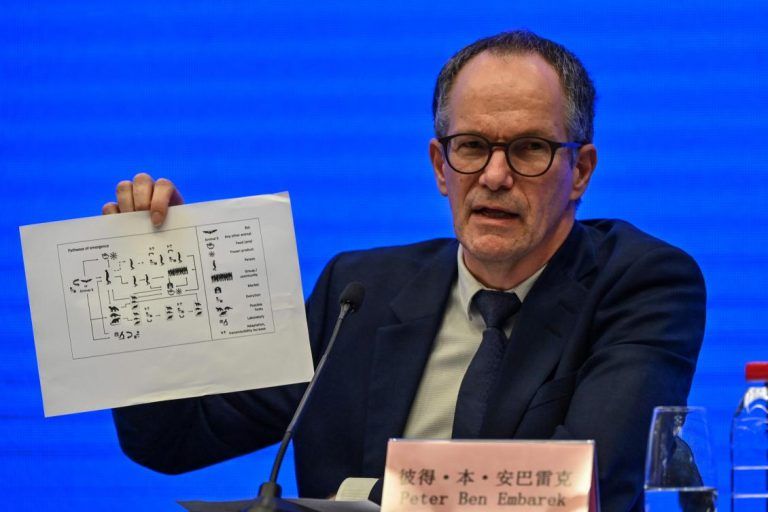 WHO team: Coronavirus unlikely to have leaked from China lab