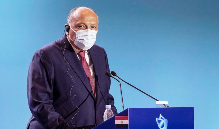 Egyptian foreign minister on new US administration: No grounds for concern or optimism