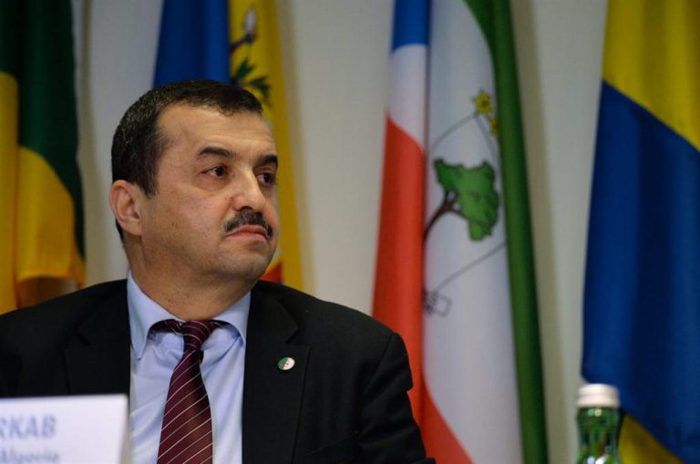 Algeria names new energy minister in government reshuffle