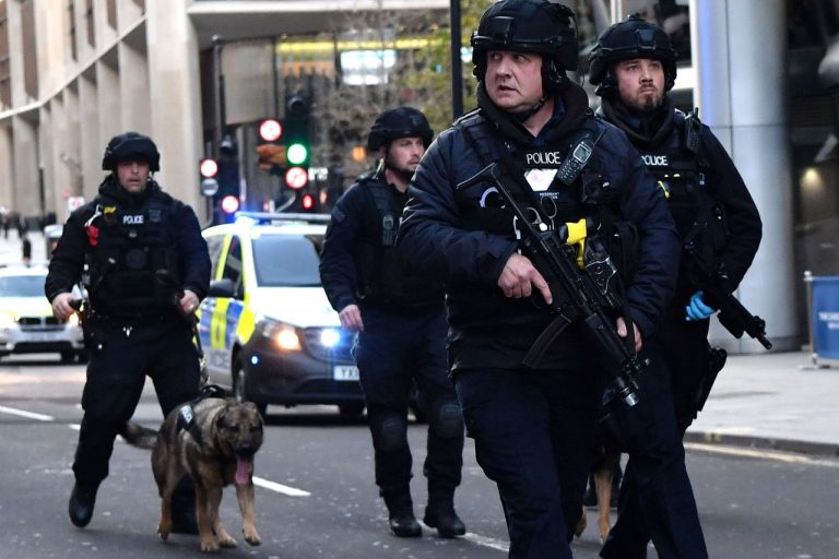 British terrorist jailed after going on the run