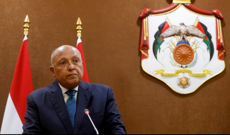 Egypt pledges commitment to war on terror in call with US Secretary of State