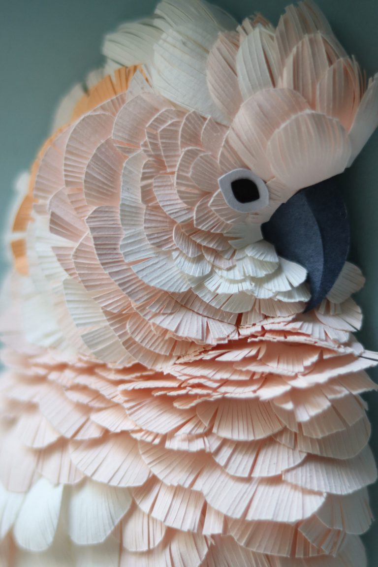 Endangered Flora and Fauna Are Recreated in Textured Paper Sculptures by Mlle Hipolyte