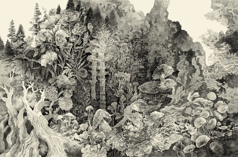 Otherworldly Ecosystems Populate Dense, Cross-Hatched Illustrations by Song Kang