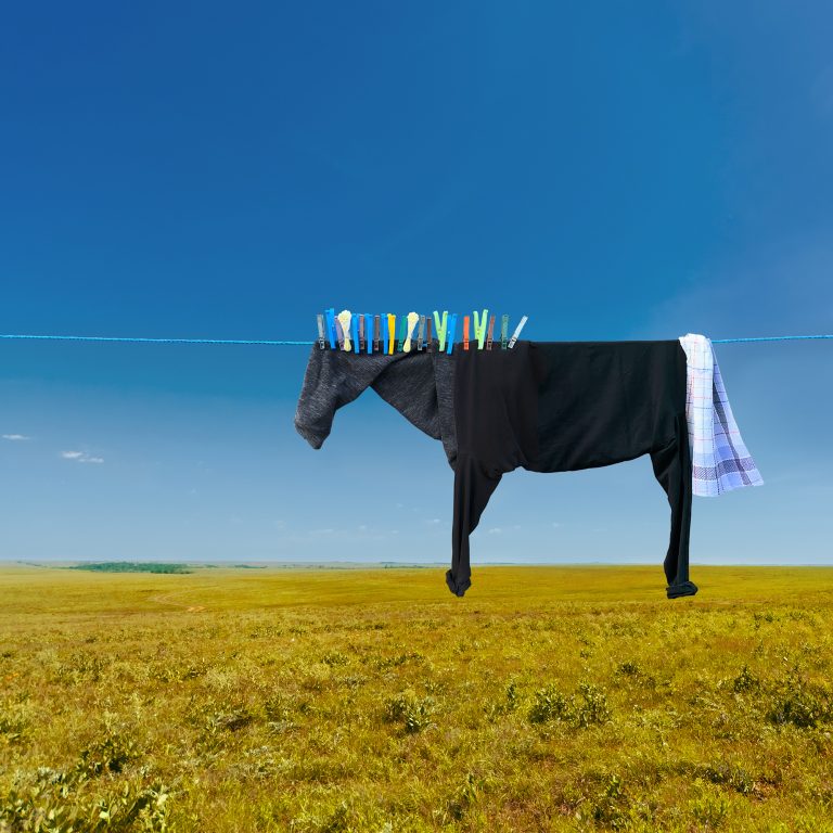 Clothesline Farm Animals Graze the Countryside in Playful Illusions by Helga Stentzel