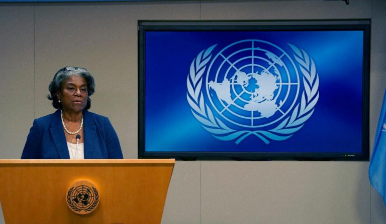 US ambassador to UN demands information on Syria detainees